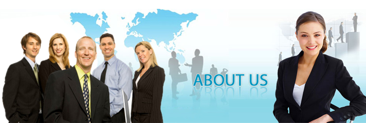 About All Property Consulting Inc.